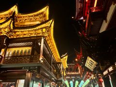 -沈大成(城隍庙店)