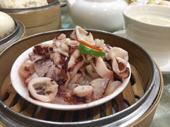 蒜香豆瓣蒸鲜鱿-麒麟山景大酒店岭南汇海鲜酒家(沙井店)