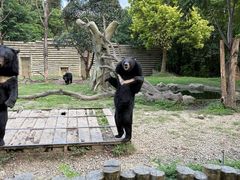 -常州淹城野生动物世界