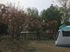 -玉山公园