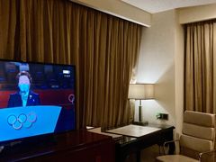 -四川江油戴斯大酒店