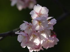 -静安雕塑公园