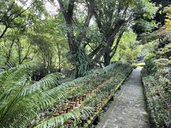 -南山植物园