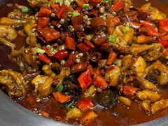 -美蛙四季(望京凯德茂店)