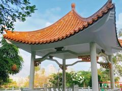 -莲湖公园
