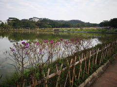 -东莞植物园