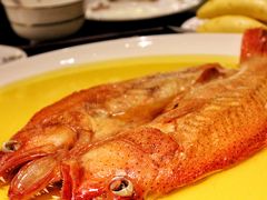 鸡油蒸风干东星斑-甄御•海鲜新青岛菜(麦岛店)