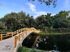 -晓港公园