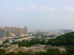 -金鸡山公园