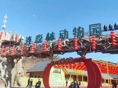 -大连森林动物园