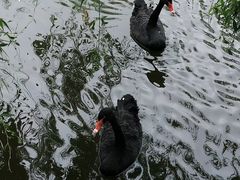 -无锡市西漳中学