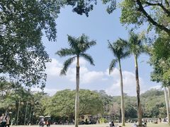 -深圳仙湖植物园