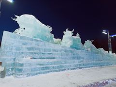 -长春公园(普阳街道)