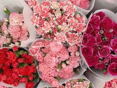 -三圣花乡旅游区