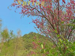 -贵阳市花溪国家城市湿地公园