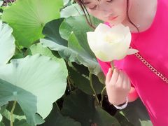 -白洋淀景区