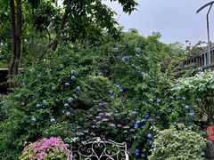 -凤来栖·净庭院·火锅(欧尚店)