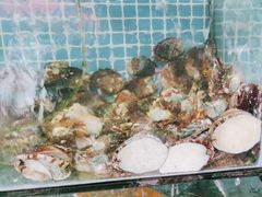 -范饭椰林川湘味海鲜·椰子鸡(三亚湾椰梦长廊店)