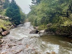 -芦芽山旅游度假区