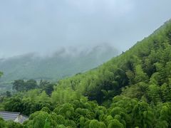 -莫干山风景区