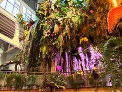 -正佳雨林生态植物园