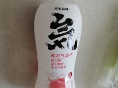 元气森林氦苏打气泡水-阿双温州饭店