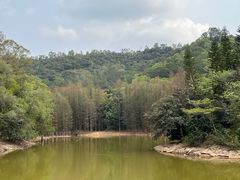 -滴水岩森林公园