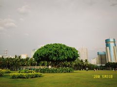 -万绿园