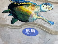 -广东惠东海龟国家级自然保护区