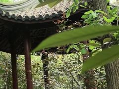 -上海佘山国家森林公园西佘山园