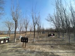 -西青郊野公园