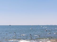 -老虎石海上公园