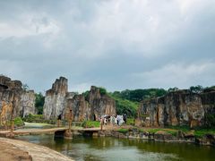 -海南热带野生动植物园