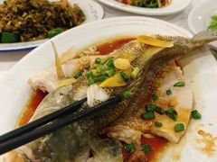 -电白鸭粥店(下沙二坊88号店)