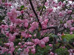 -太湖湖滨国家湿地公园-停车场