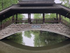 -合肥滨湖国家森林公园