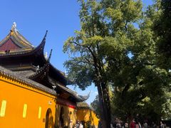 -西园寺素食(西园弄戒幢律寺店)