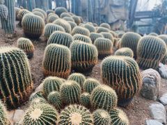 -南山植物园