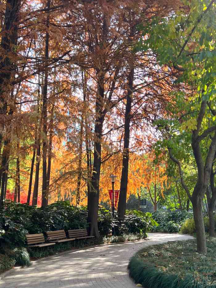 广场公园-"延中绿地是上海市建设的最早的一块绿地那时.