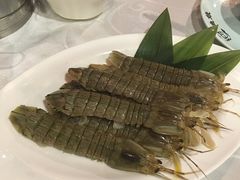 腌皮皮虾-渔娘渔家丹东海鲜(东直门店)