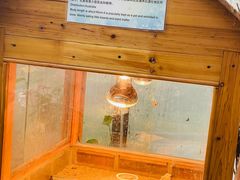 -上海大自然野生昆虫馆(东方明珠·爬宠昆虫探索中心)