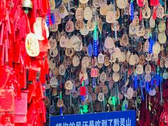 -黔灵山公园