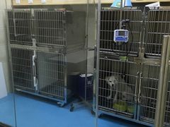 -仁华宠物医院(青羊店)