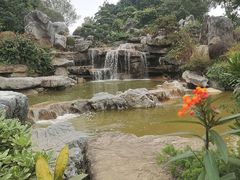 -东莞植物园