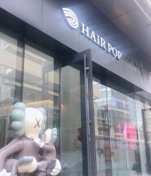 -HAIR POP