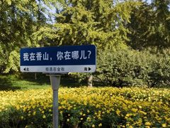 -香山公园
