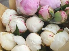 -马记烧烤(曲沃路店)