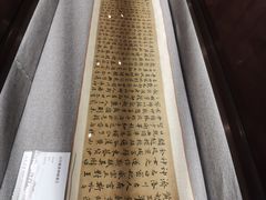 -【朵云轩艺术中心】博洛尼亚插画展·中国巡展·上海站