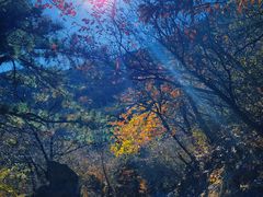 -阳台山自然风景区