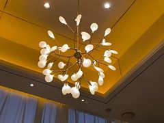 -大食客·非遗吉菜(高新和园店)
